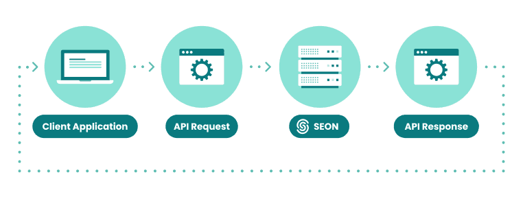 seon API integration